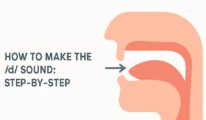 Minimalist 2D illustration showing step-by-step tongue placement for producing the American /d/ sound, centered with ample empty margin.